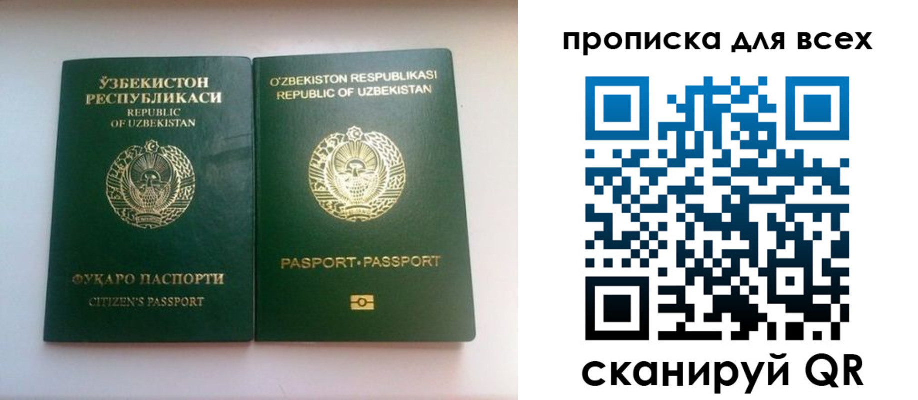 прописка для школы в Воскресенске